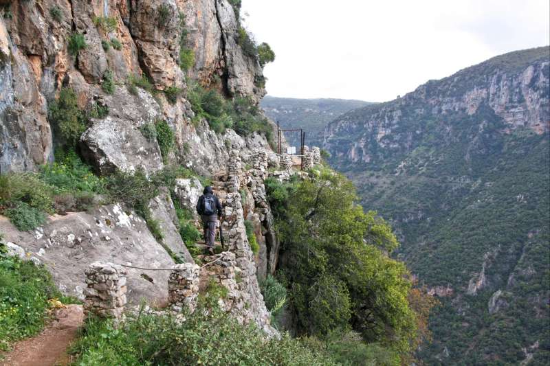 Sentiers des cèdres et Liban intime