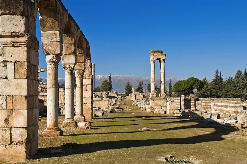 Anjar - Plaine de Bekaa - Liban