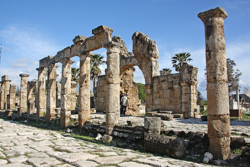 Site archéologique de Tyr - Sud Liban - Liban
