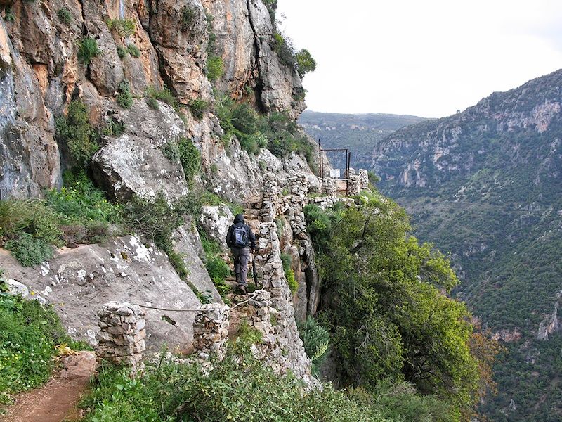Vallée de la Qadisha - Liban