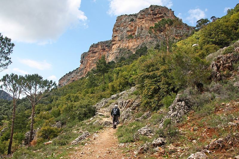 Sentiers des cèdres et Liban intime