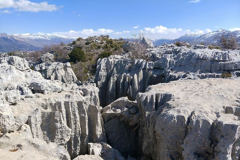 Réserve de biosphère de Jabal Moussa - Liban