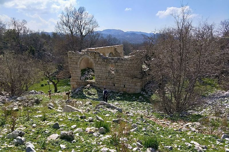 Sentiers des cèdres et Liban intime