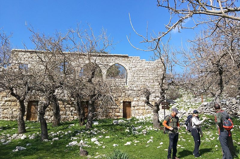 Randonnée dans la réserve de biosphère de Jabal Moussa - Liban