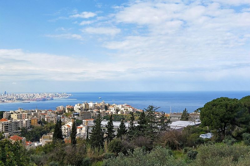 Sentiers des cèdres et Liban intime