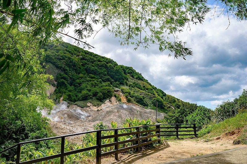 Vue du Sulfur Springs Park - Sainte-Lucie