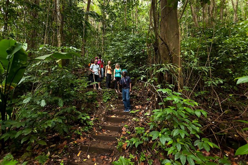 Randonneurs à Rain Forest - Sainte-Lucie