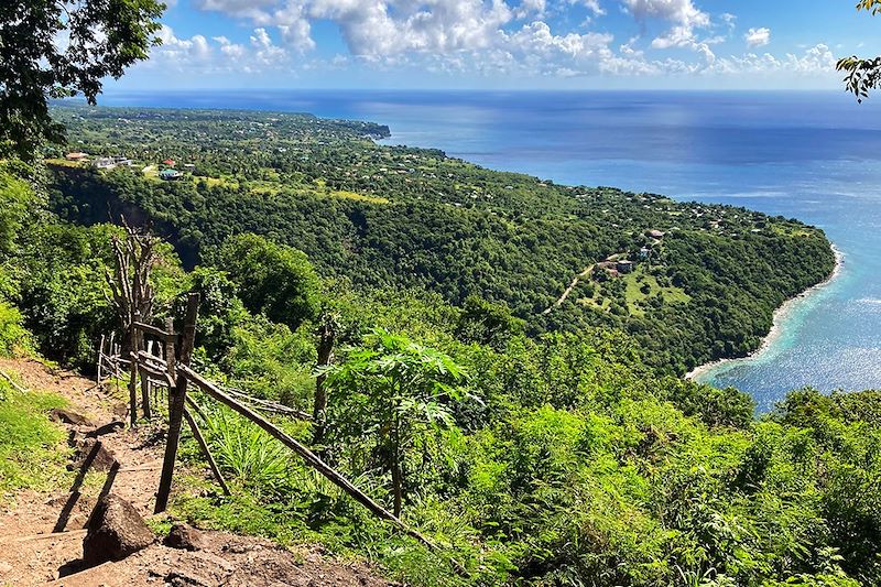 Vue lors de l'ascension du Gros Piton - Sainte-Lucie