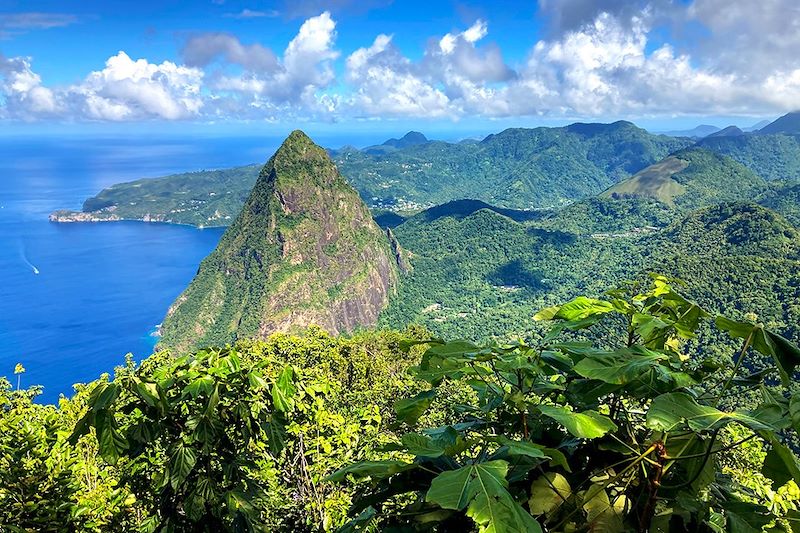 Vue lors de l'ascension du Gros Piton - Sainte-Lucie