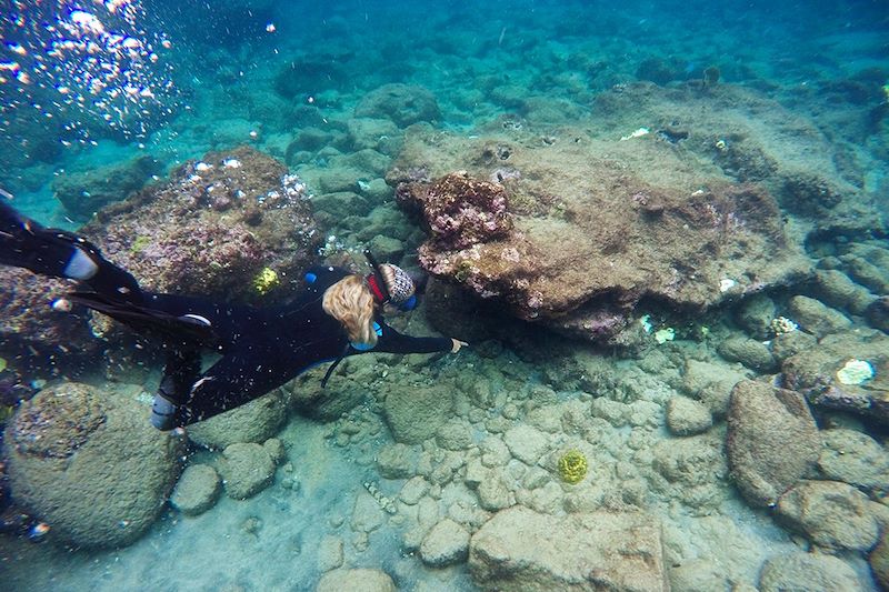 Fonds marins à Sainte-Lucie