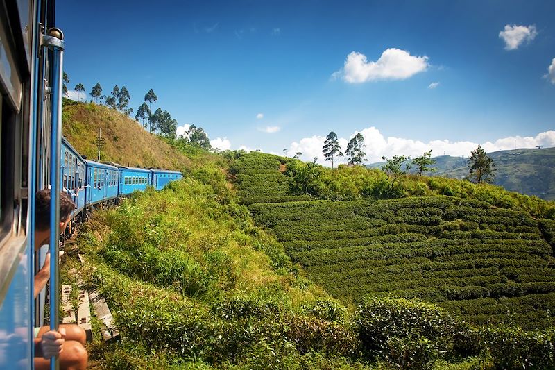 Un train entre Nuwara Eliya et Kandy, parmi les plantations de thé - Sri Lanka