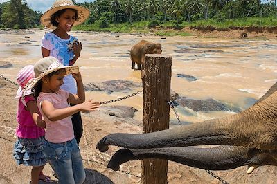 voyage Thé ou éléphant ? Ceylan en famille