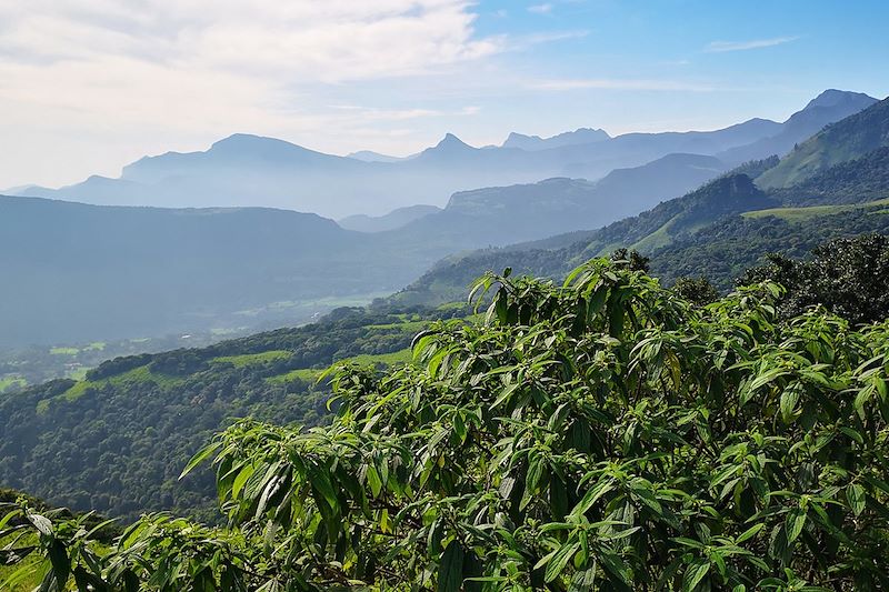 Horton Plains - Sri Lanka