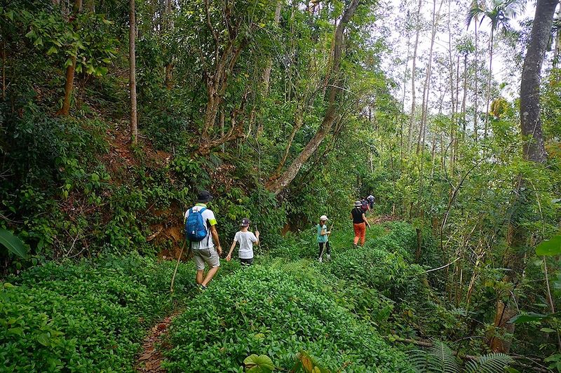 Randonnée à Knuckles Range - Sri Lanka