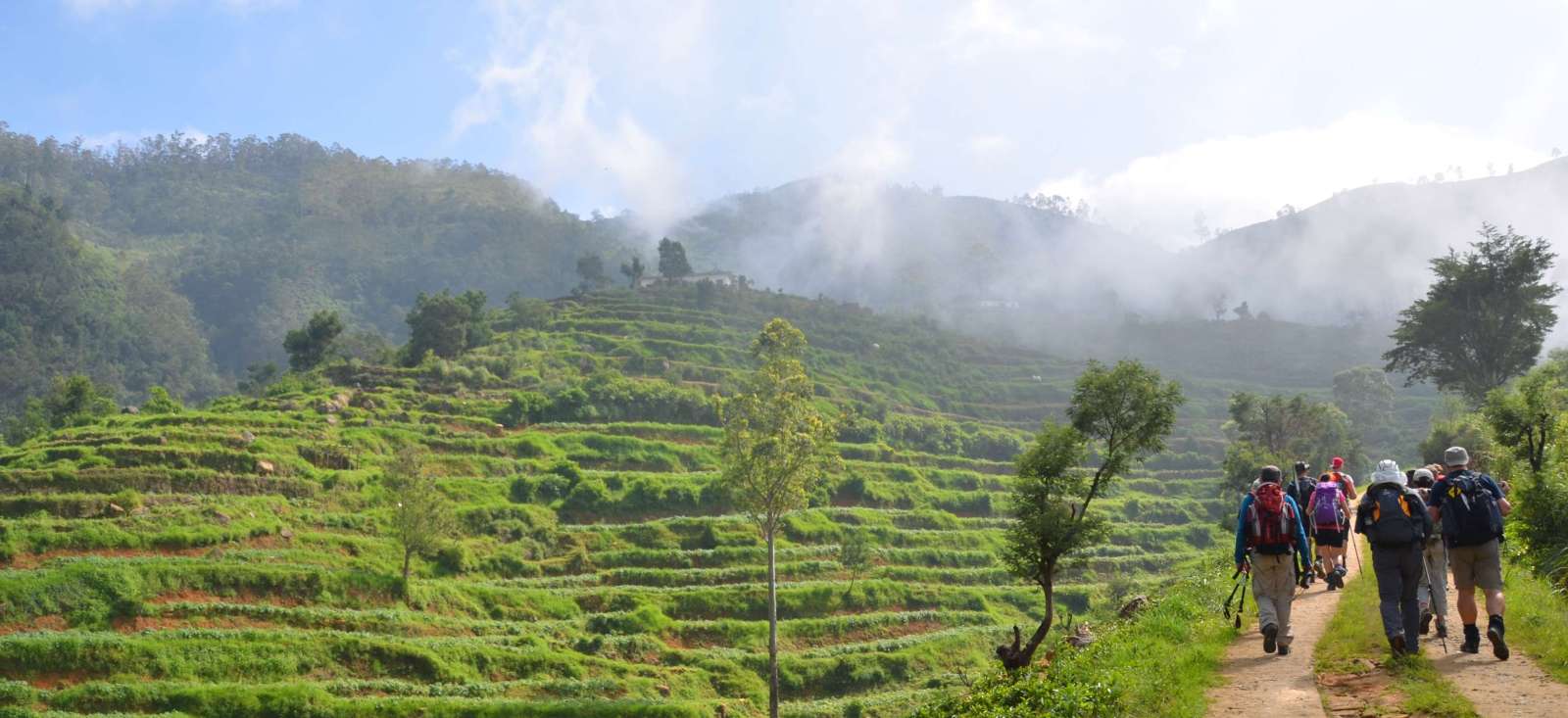 Trek - Sri Lanka : Randonnées cinghalaises