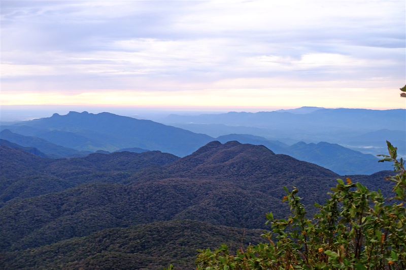 Pic d'Adam - District de Ratnapura - Sri Lanka