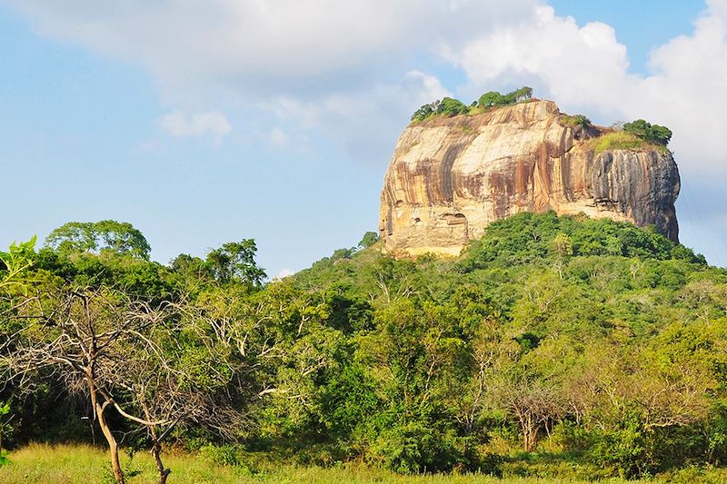 Rocher du lion à Sigirîya - District de Matale - Sri Lanka
