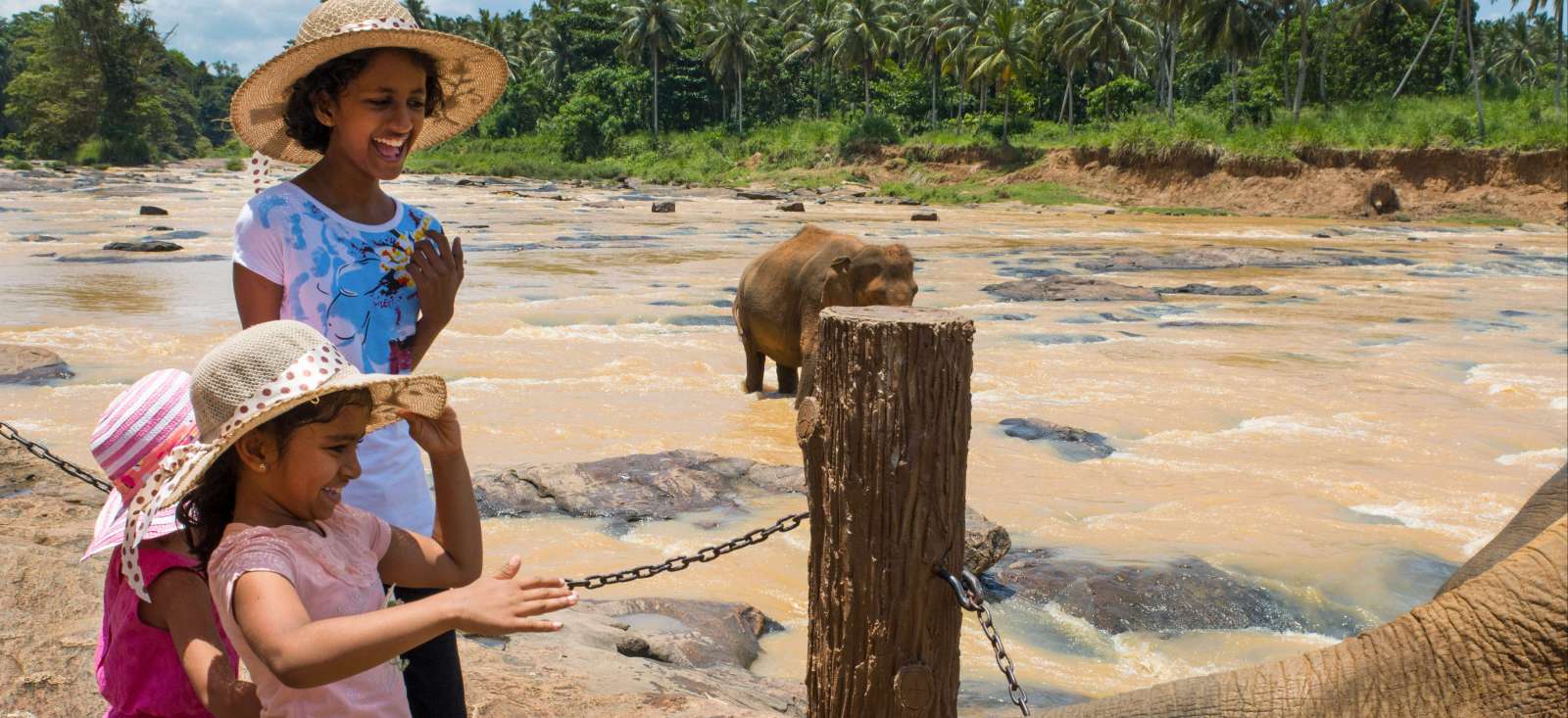 Voyage découverte - Thé ou éléphant ? Ceylan en famille