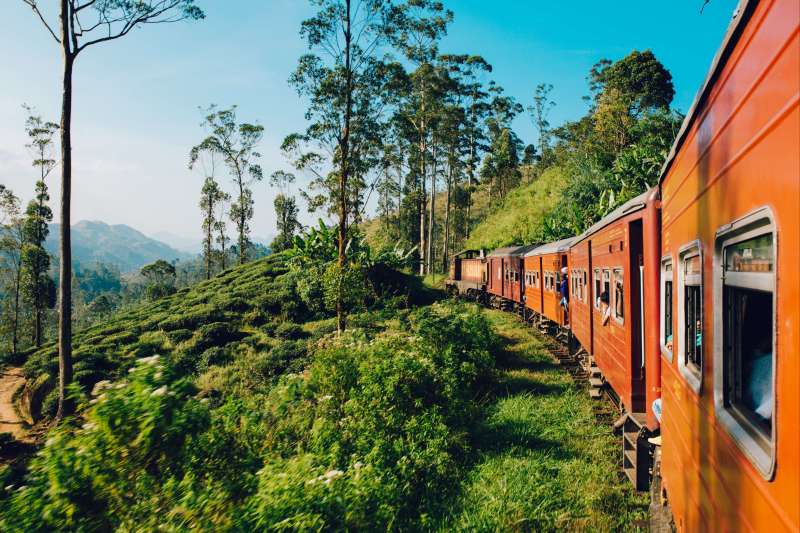 En train à travers des plantations - Sri Lanka 