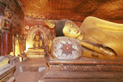 Balade au pays de Kandy 4
