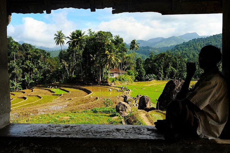 Balade au pays de Kandy