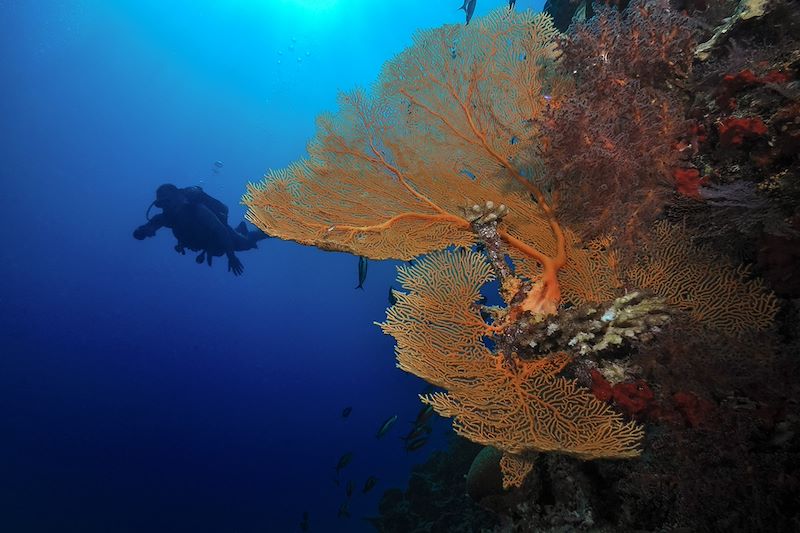 Embudu Village - Maldives