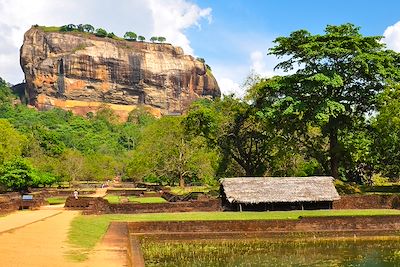 L'essentiel du Sri Lanka 3