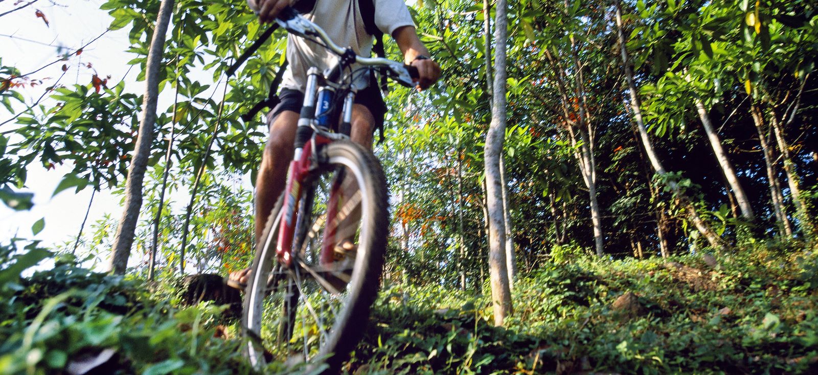 Image En selle à Ceylan ! Le Sri Lanka en E.VTC