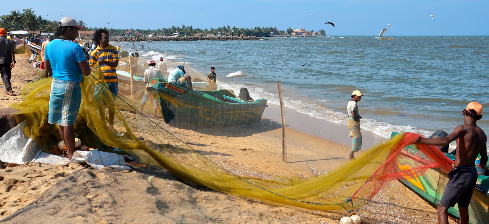 Image En selle à Ceylan ! Le Sri Lanka en E.VTC