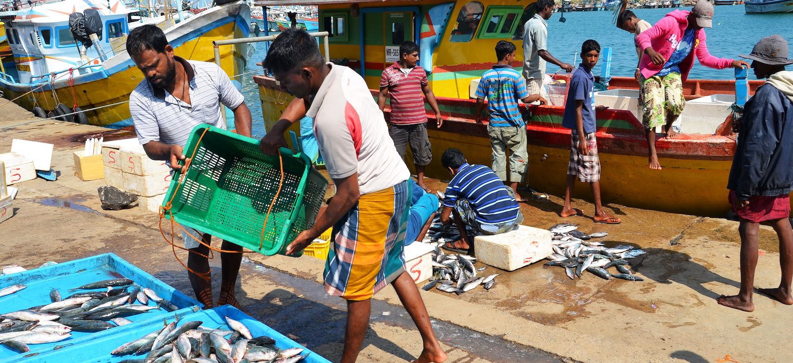 Image En selle à Ceylan ! Le Sri Lanka en E.VTC