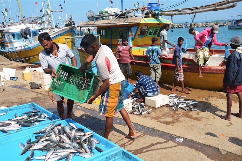 Pêcheurs à Mirissa - District de Matara - Sri Lanka