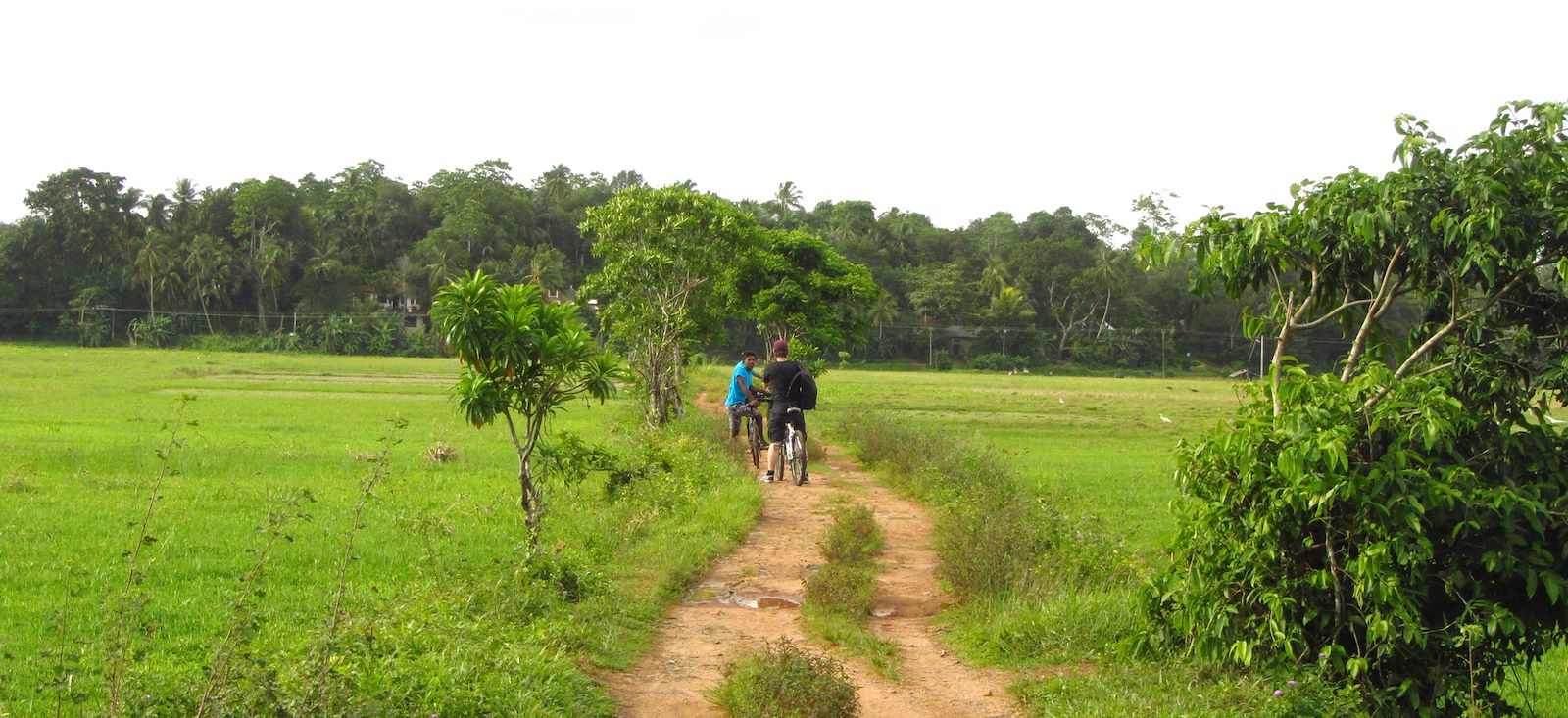 Image En selle à Ceylan ! Le Sri Lanka en E.VTC