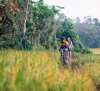 Circuits en petit groupe Sri Lanka