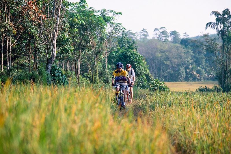 Balade à vélo à travers les rizières - Sri Lanka 