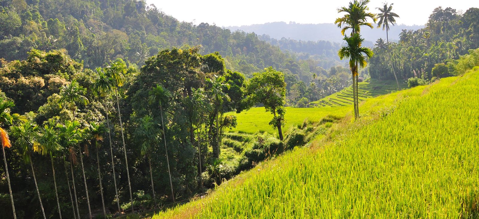 Image En selle à Ceylan ! Le Sri Lanka en E.VTC