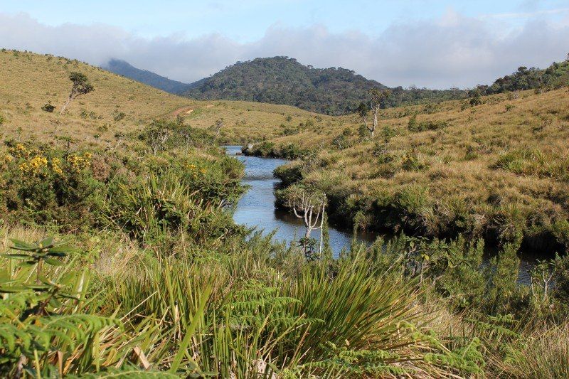 Parc national Horton Plains - Nuwara Eliya - Sri Lanka