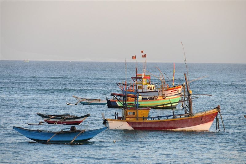 Randos Sri Lankaises 