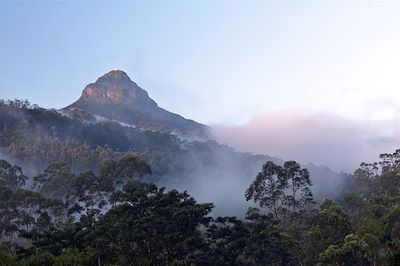 voyage Sri Lanka