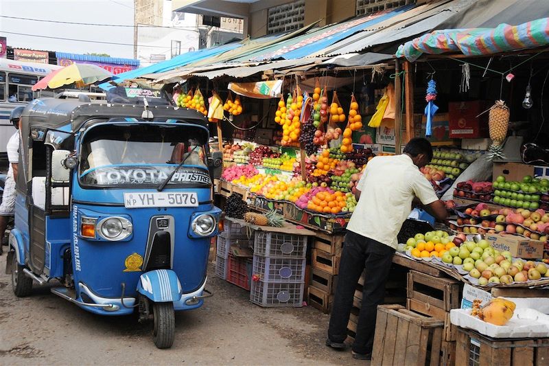 Le Sri Lanka du sud au nord