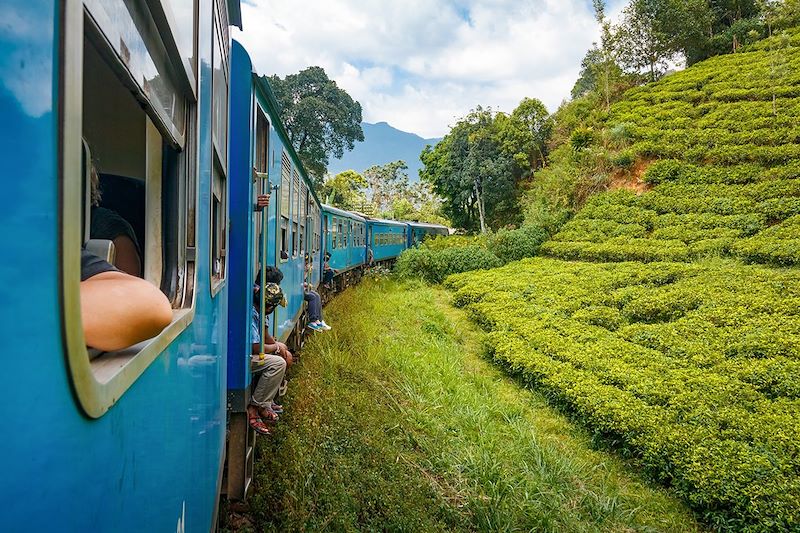 Un été au Sri Lanka