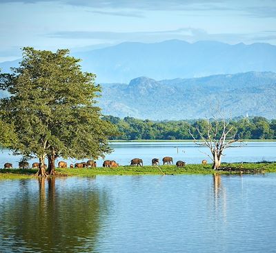 Trek et randonnée Sri Lanka
