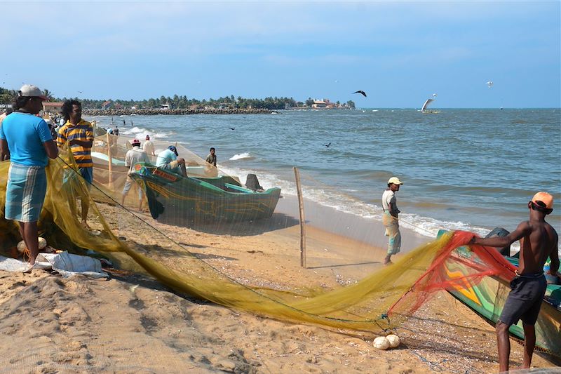 Page de Negombo - Sri Lanka