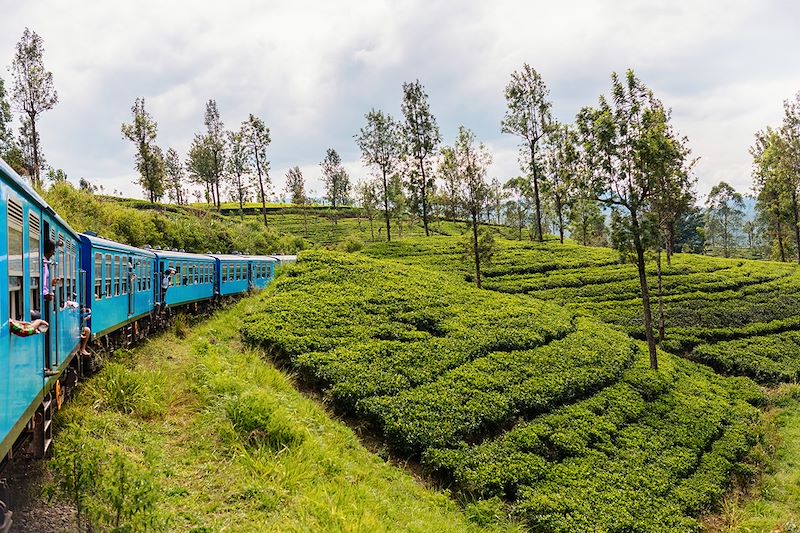 Les petits aventuriers du Sri Lanka