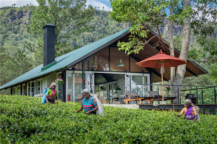 Madulkelle Tea & Eco Lodge - Madulkelle - Sri Lanka