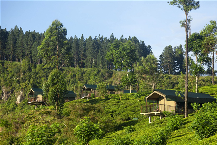 Madulkelle Tea & Eco Lodge - Madulkelle - Sri Lanka