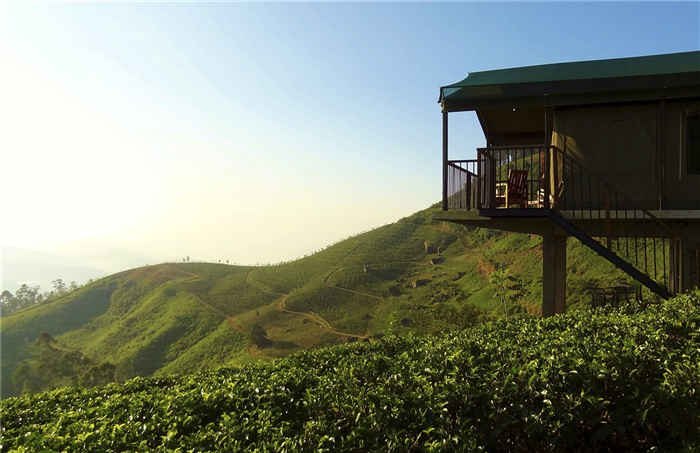 Madulkelle Tea & Eco Lodge - Madulkelle - Sri Lanka