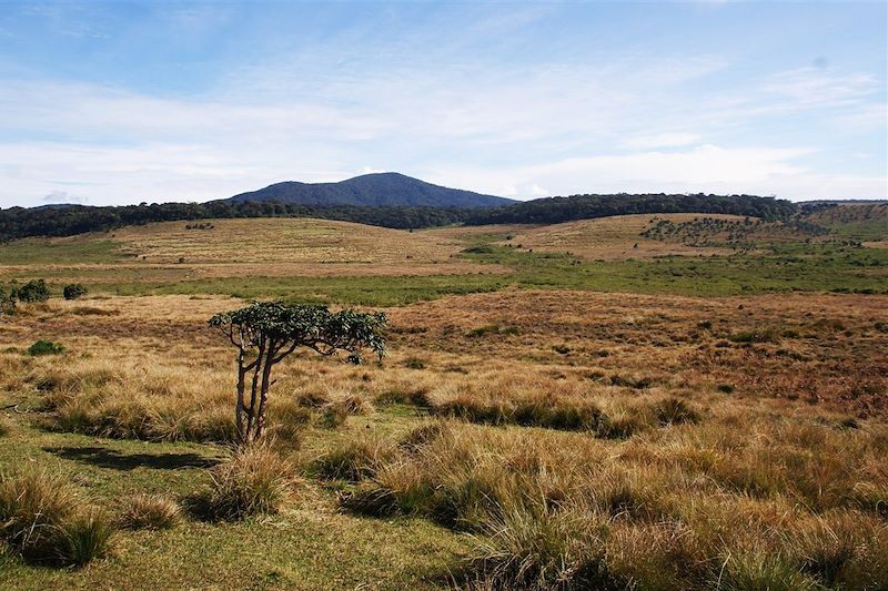 Parc national de Horton Plains - Sri Lanka