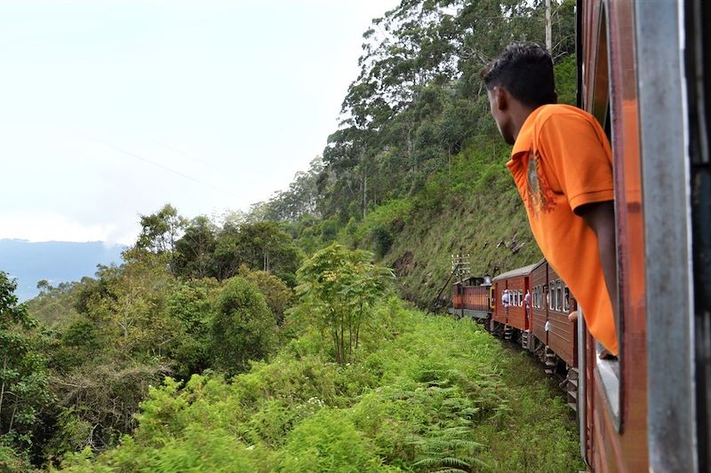 Train entre Ohiya et Haputale - Sri Lanka