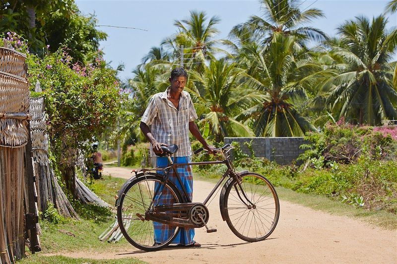 Le Sri Lanka en transports locaux