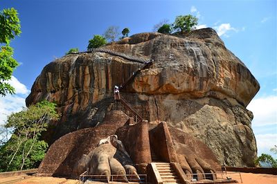 Le Sri Lanka en transports locaux 2